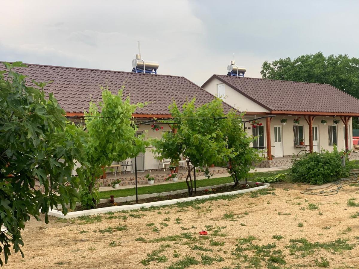 Houses By The Sea Vadu Εξωτερικό φωτογραφία